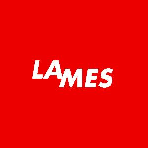 Lames Agency - Город Набережные Челны logo-bg.jpg